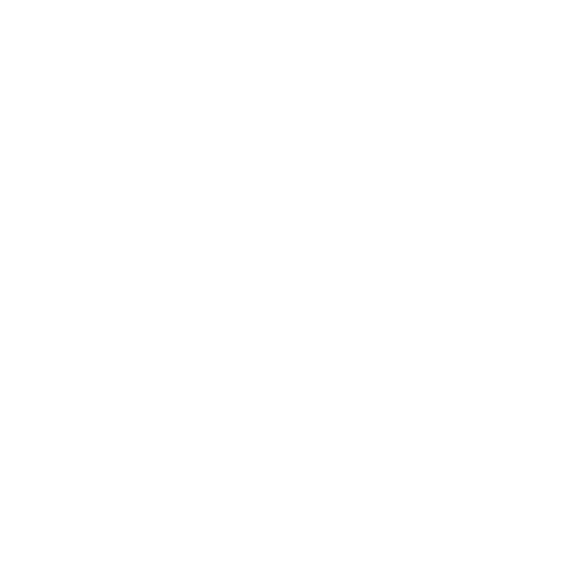 Payment Icon